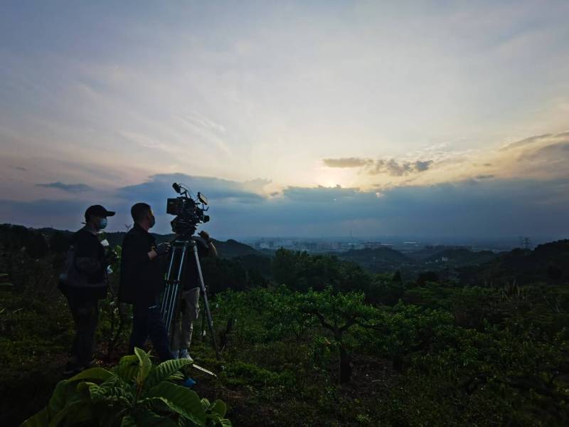 聚焦巍山产品宣传视频拍摄公司，用专业实力铸就品牌传播传奇