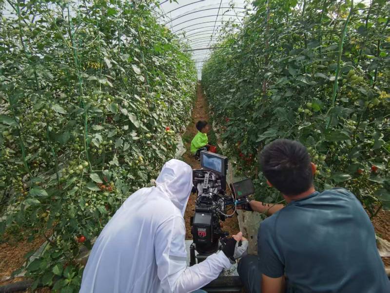 巍山产品宣传视频拍摄公司进阶指南，助力品牌抢占传播高地